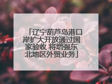 辽宁葫芦岛港口岸扩大开放通过国家验收 将增强东北地区外贸业务
