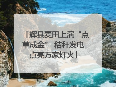 辉县麦田上演“点草成金” 秸秆发电点亮万家灯火