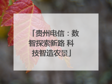 贵州电信：数智探索新路 科技智造农景