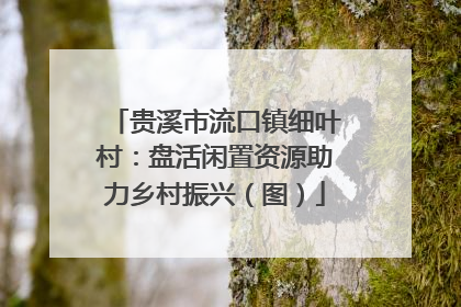贵溪市流口镇细叶村：盘活闲置资源助力乡村振兴（图）