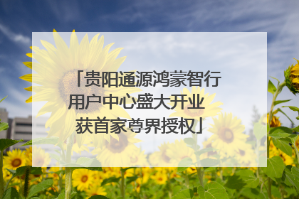 贵阳通源鸿蒙智行用户中心盛大开业 获首家尊界授权