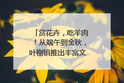 赏花卉，吃羊肉！从端午到金秋，叶榭镇推出丰富文旅活动邀您爽玩