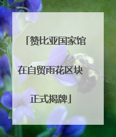 赞比亚国家馆在自贸雨花区块正式揭牌