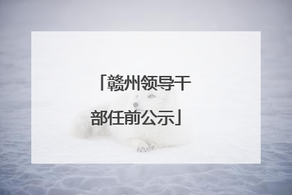 赣州领导干部任前公示