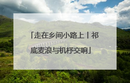 走在乡间小路上丨祁底麦浪与机杼交响