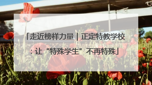 走近榜样力量｜正定特教学校：让“特殊学生”不再特殊