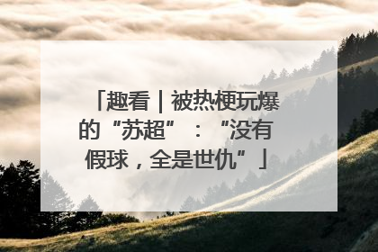 趣看｜被热梗玩爆的“苏超”：“没有假球，全是世仇”