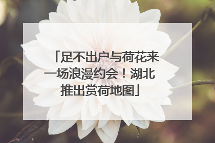 足不出户与荷花来一场浪漫约会！湖北推出赏荷地图