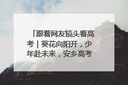 跟着网友镜头看高考｜葵花向阳开，少年赴未来，安乡高考首日的希望图景