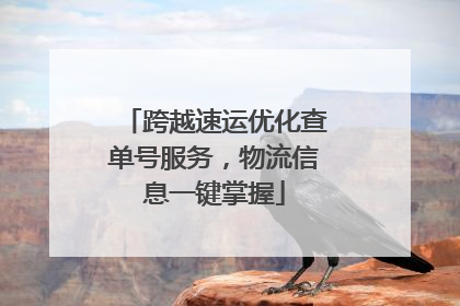 跨越速运优化查单号服务，物流信息一键掌握