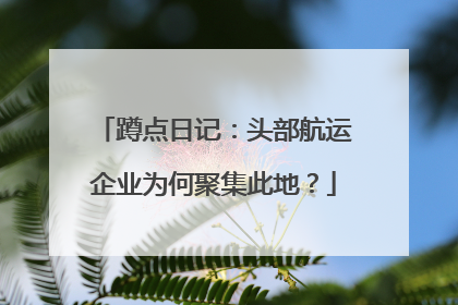 蹲点日记：头部航运企业为何聚集此地？