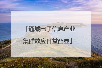 通城电子信息产业集群效应日益凸显