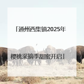 通州西集镇2025年樱桃采摘季甜蜜开启