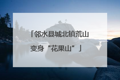 邻水县城北镇荒山变身“花果山”