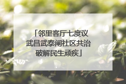 邻里客厅七度议 武昌武泰闸社区共治破解民生顽疾