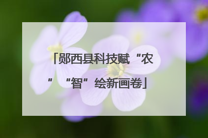 郧西县科技赋“农”“智”绘新画卷