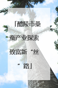 醴陵市桑蚕产业探索致富新“丝”路