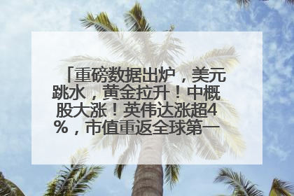 重磅数据出炉，美元跳水，黄金拉升！中概股大涨！英伟达涨超4%，市值重返全球第一！黄仁勋计划出售至多600万股股票