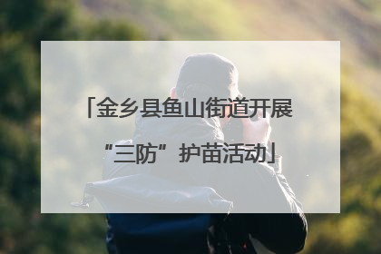 金乡县鱼山街道开展“三防”护苗活动