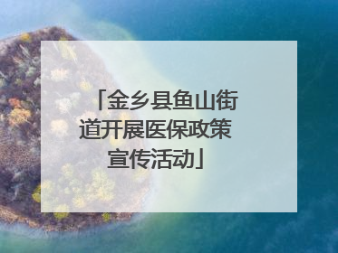 金乡县鱼山街道开展医保政策宣传活动