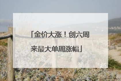 金价大涨！创六周来最大单周涨幅