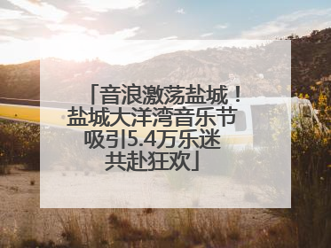 音浪激荡盐城！盐城大洋湾音乐节吸引5.4万乐迷共赴狂欢