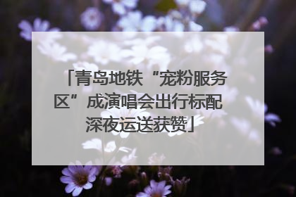 青岛地铁“宠粉服务区”成演唱会出行标配 深夜运送获赞