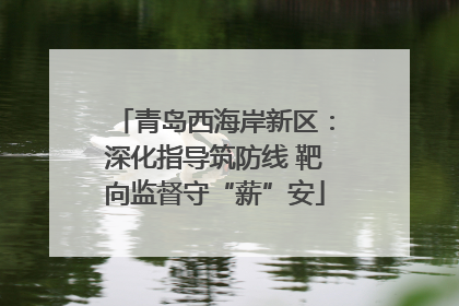 青岛西海岸新区：深化指导筑防线 靶向监督守“薪”安