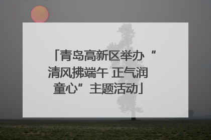 青岛高新区举办“清风拂端午 正气润童心”主题活动
