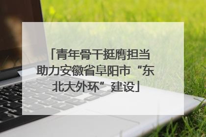 青年骨干挺膺担当 助力安徽省阜阳市“东北大外环”建设