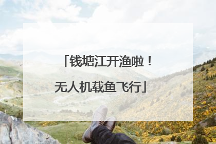 钱塘江开渔啦！无人机载鱼飞行