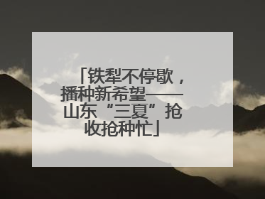 铁犁不停歇，播种新希望——山东“三夏”抢收抢种忙