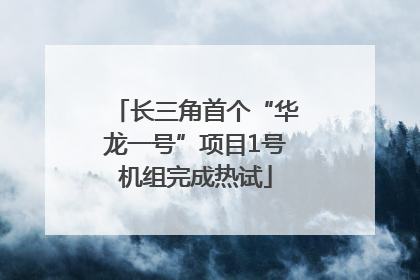 长三角首个“华龙一号”项目1号机组完成热试