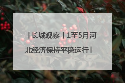 长城观察丨1至5月河北经济保持平稳运行