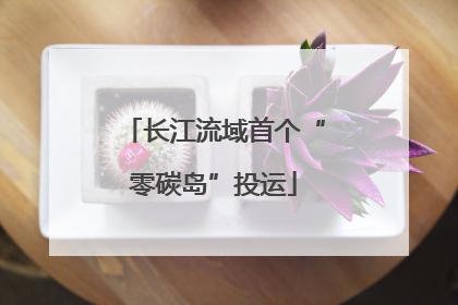 长江流域首个“零碳岛”投运