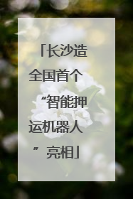 长沙造全国首个“智能押运机器人”亮相