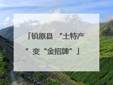 镇原县 “土特产”变“金招牌”