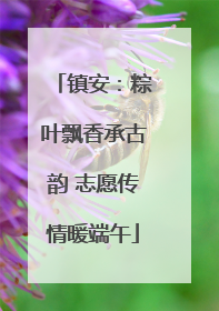 镇安：粽叶飘香承古韵 志愿传情暖端午
