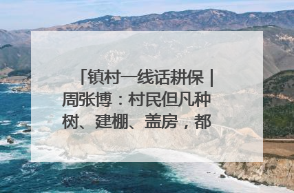 镇村一线话耕保｜周张博：村民但凡种树、建棚、盖房，都要向街道报批