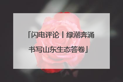 闪电评论丨绿潮奔涌 书写山东生态答卷