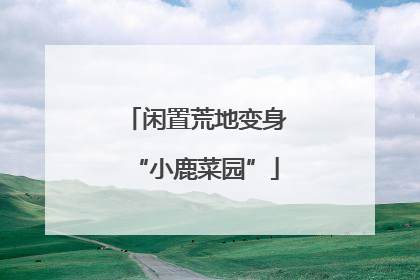 闲置荒地变身“小鹿菜园”