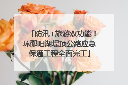 防汛+旅游双功能！环鄱阳湖堤顶公路应急保通工程全面完工