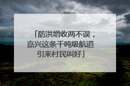防洪增收两不误，嘉兴这条千吨级航道引来村民叫好