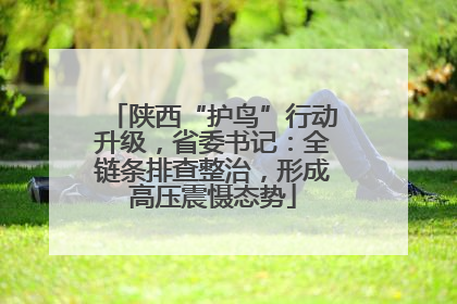 陕西“护鸟”行动升级，省委书记：全链条排查整治，形成高压震慑态势