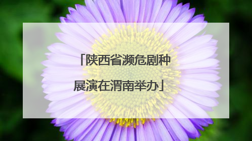 陕西省濒危剧种展演在渭南举办