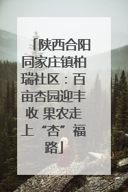 陕西合阳同家庄镇柏瑞社区：百亩杏园迎丰收 果农走上“杏”福路