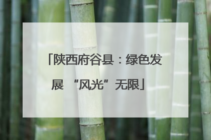 陕西府谷县：绿色发展 “风光”无限
