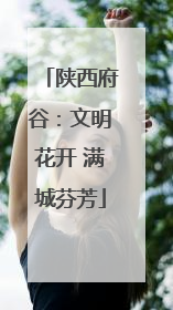 陕西府谷：文明花开 满城芬芳