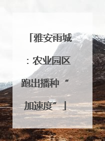 雅安雨城：农业园区跑出播种“加速度”