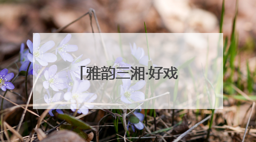 雅韵三湘·好戏连台《回望童年——写给ALBA的回信》音乐会在湖南音乐厅唱响